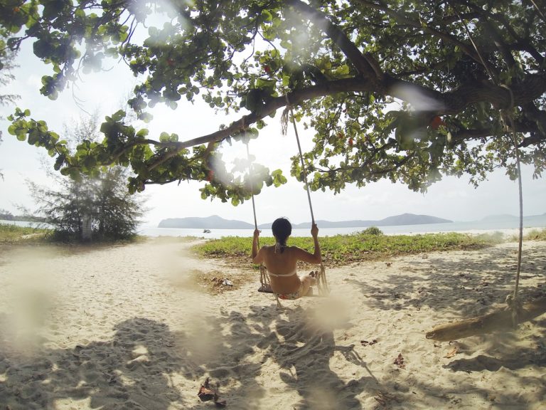 tropical beach, swing, tree